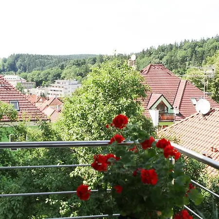 Dum Tamara Διαμέρισμα